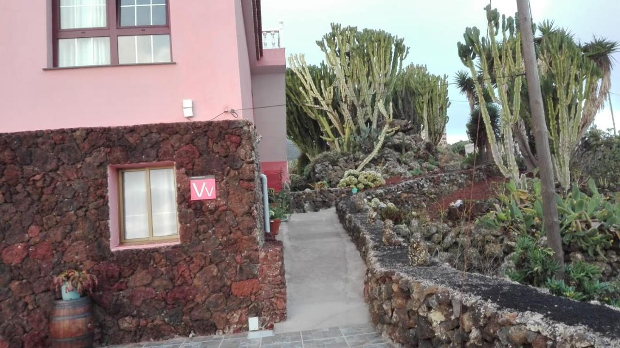 Cactus * Echedo