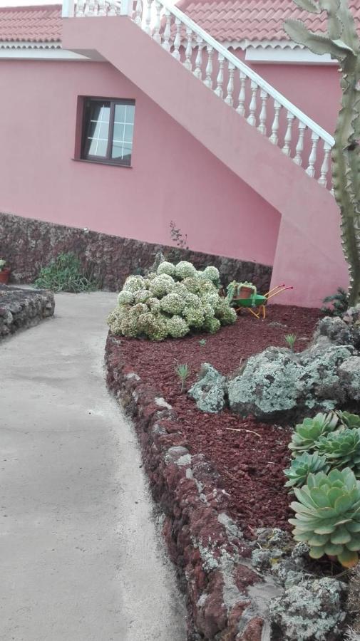 Apartment Cactus