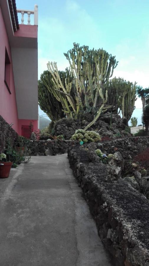 Cactus Echedo