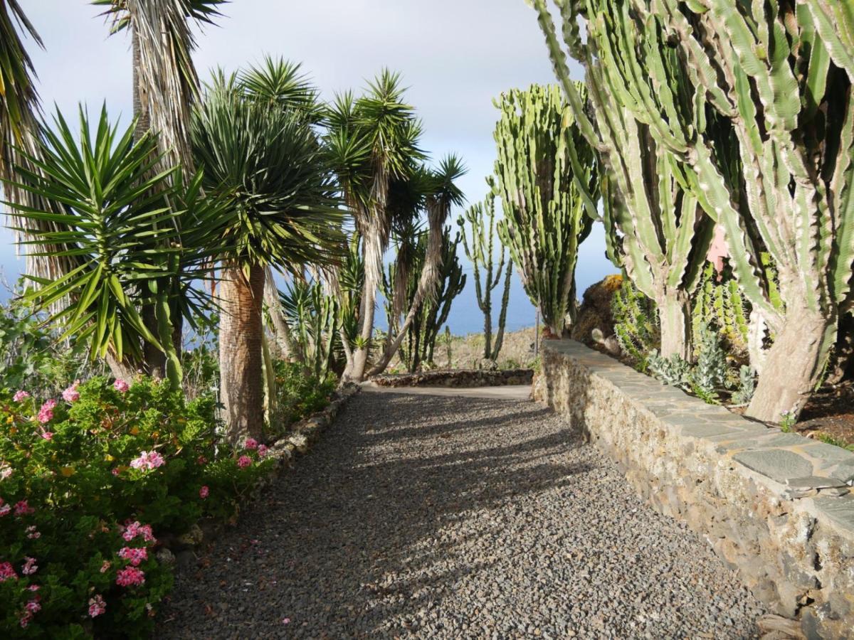 Cactus Apartament